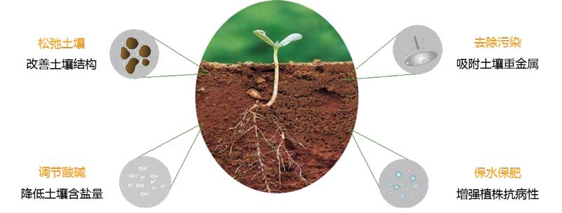 土壤修復(fù)調(diào)理劑-國(guó)投盛世